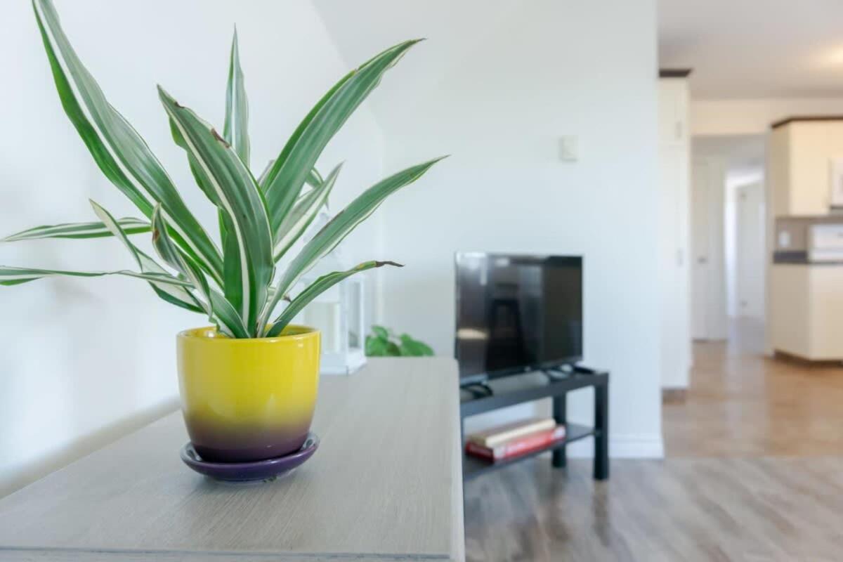 Appartamento Amazing location in Saint John 2 Br Modern Parking New Esterno foto